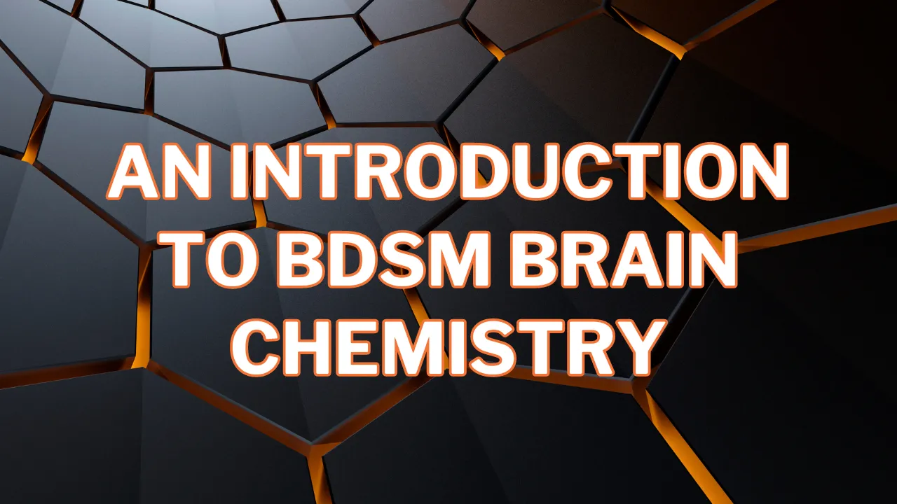 Understanding Reason and Consent in Kink: The Impact of Intoxicants and Brain Chemistry